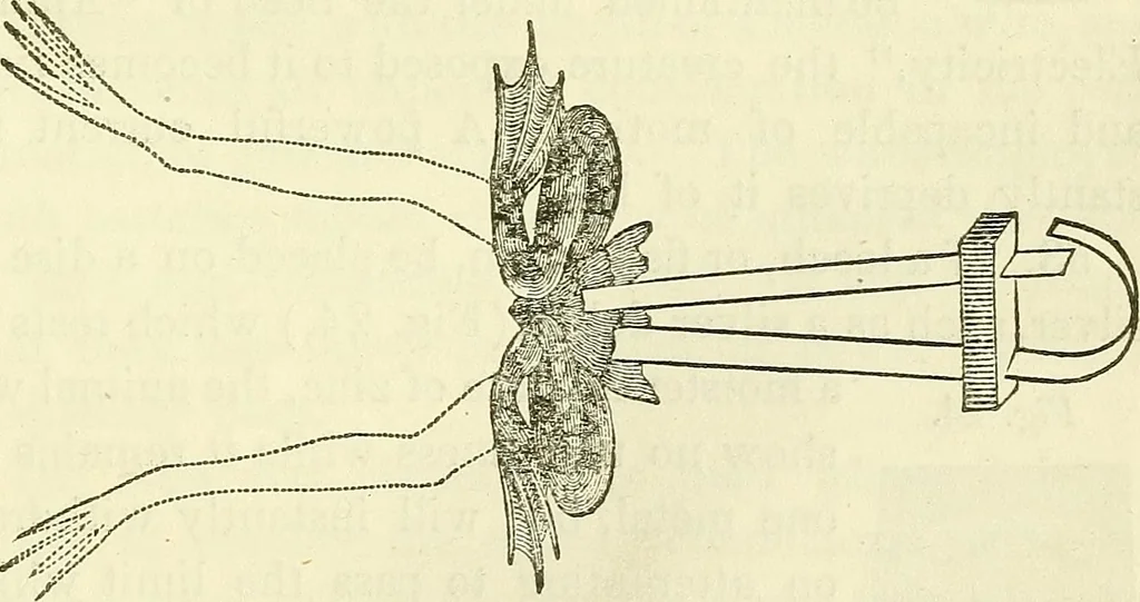 An illustration from Davis's manual of magnetism : including galvanism, magnetism, electro-magnetism, electro-dynamics, magneto-electricity, and thermo-electricity, 1854, leaf 50