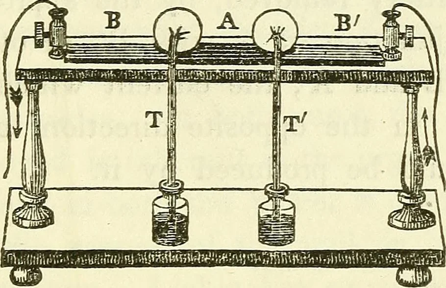 An illustration from Davis's manual of magnetism : including galvanism, magnetism, electro-magnetism, electro-dynamics, magneto-electricity, and thermo-electricity, 1854, leaf 98