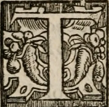 An illustration from Davngerovs positions and proceedings : published and practised within this Iland of Brytaine, vnder pretence of Reformation, and for the Presbiteriall discipline, 1593, leaf 109