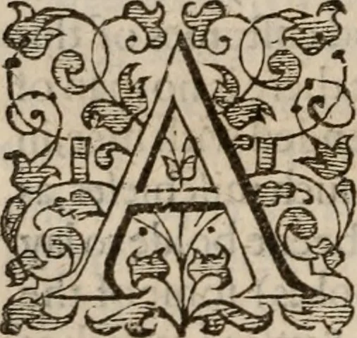 An illustration from Davngerovs positions and proceedings : published and practised within this Iland of Brytaine, vnder pretence of Reformation, and for the Presbiteriall discipline, 1593, leaf 45