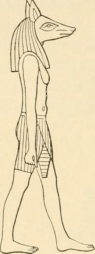 An illustration from The dawn of astronomy; a study of the temple-worship and mythology of the ancient Egyptians, 1894, leaf 46