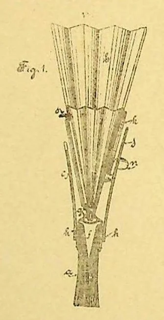 An illustration from Laesecke - Paint brush with paint feed, German Patent 50125 of 1889, 1889, leaf 0