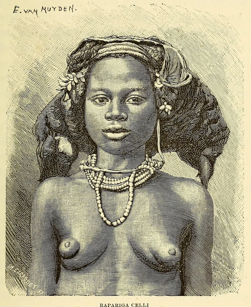 An illustration from De Angola á contra-costa; descripção de uma viagem atravez do continente africano .., 1886, leaf 105