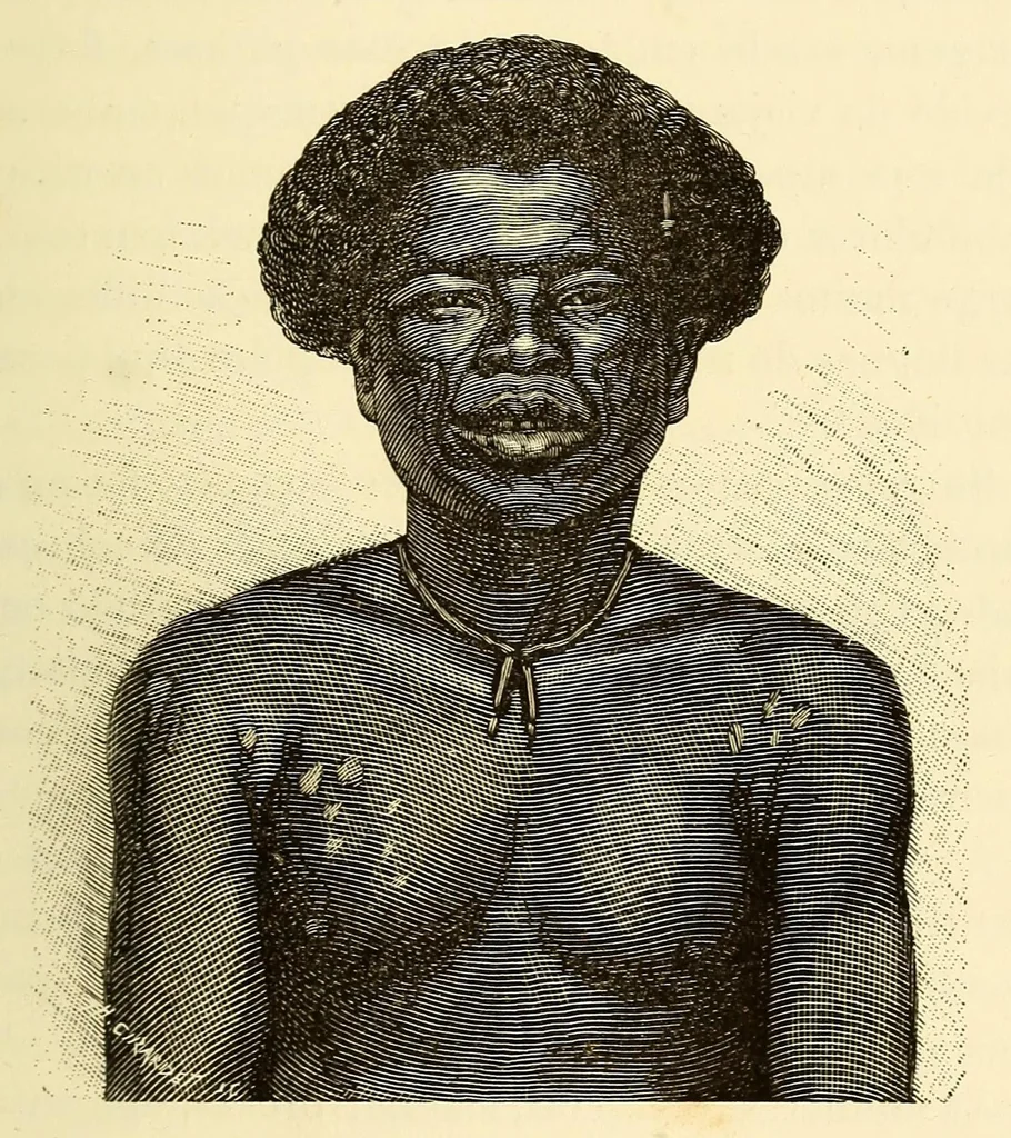 An illustration from De Angola á contra-costa; descripção de uma viagem atravez do continente africano .., 1886, leaf 133