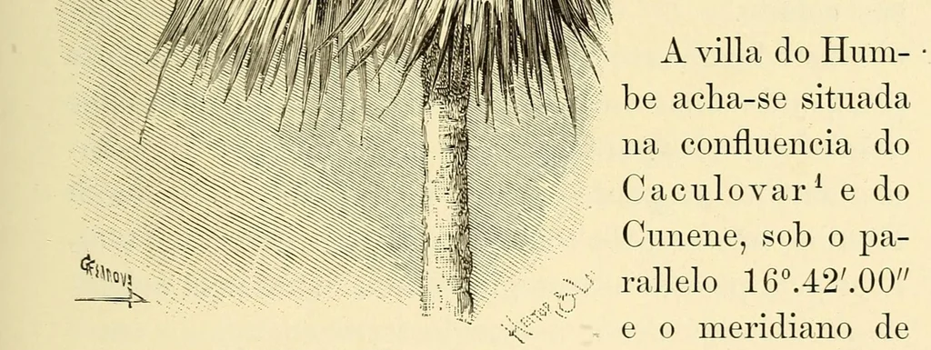 An illustration from De Angola á contra-costa; descripção de uma viagem atravez do continente africano .., 1886, leaf 251