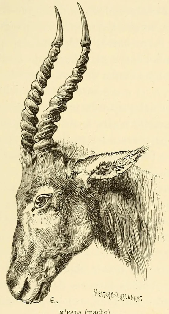 An illustration from De Angola á contra-costa; descripção de uma viagem atravez do continente africano .., 1886, leaf 291