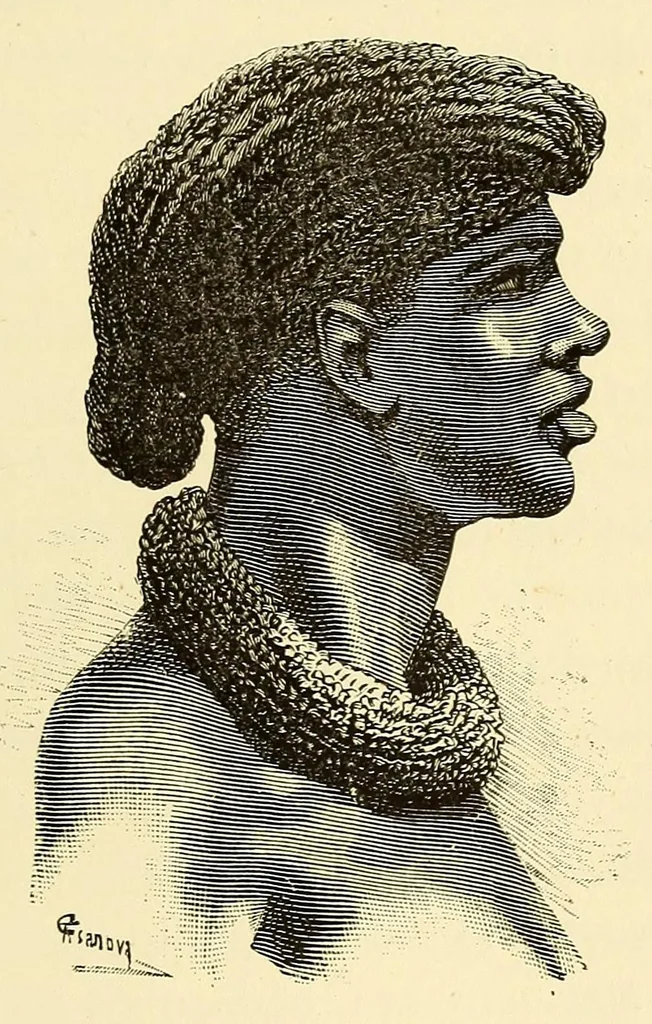 An illustration from De Angola á contra-costa; descripção de uma viagem atravez do continente africano .., 1886, leaf 313