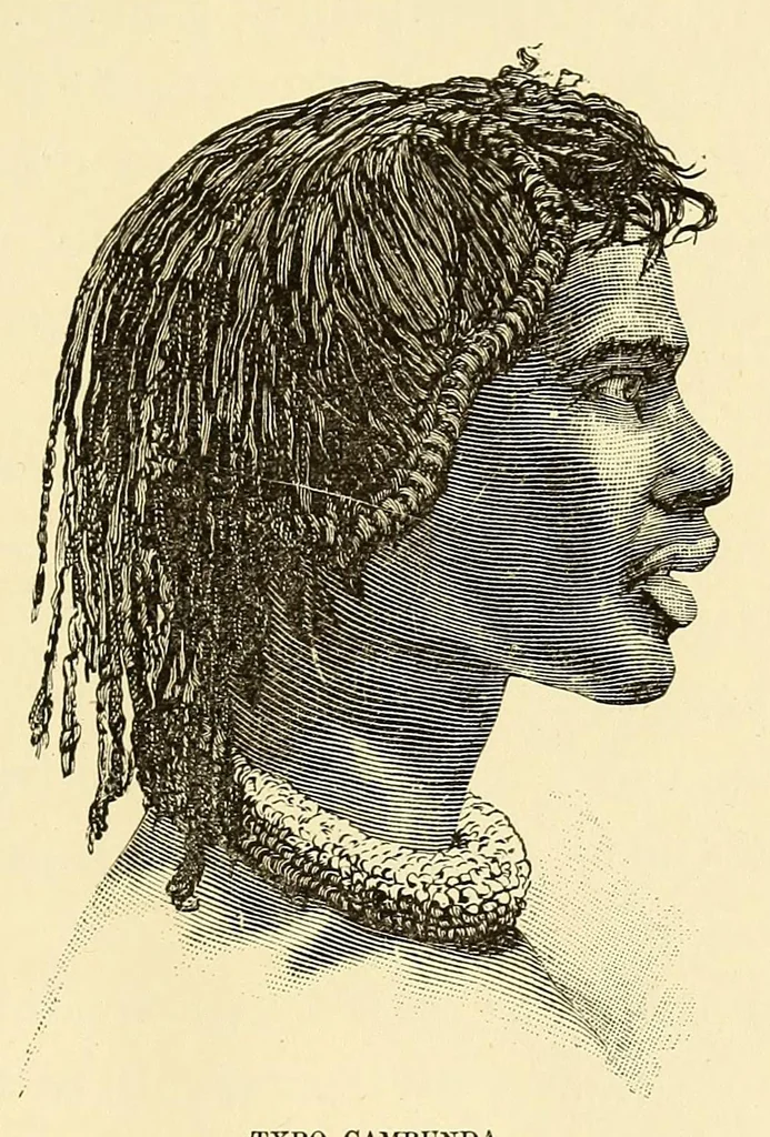 An illustration from De Angola á contra-costa; descripção de uma viagem atravez do continente africano .., 1886, leaf 385