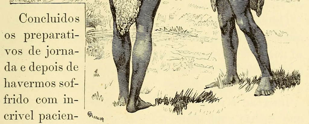 An illustration from De Angola á contra-costa; descripção de uma viagem atravez do continente africano .., 1886, leaf 457