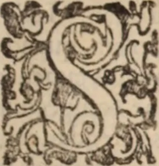 An illustration from De animalibus insectis libri septem : cum singulorum iconibus ad viuum expressis / autore Ulysse Aldrovando ... ; ad sereniss: Franc. Mariam Secundum ..., 1602, leaf 100
