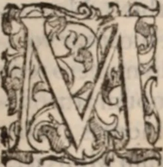 An illustration from De animalibus insectis libri septem : cum singulorum iconibus ad viuum expressis / autore Ulysse Aldrovando ... ; ad sereniss: Franc. Mariam Secundum ..., 1602, leaf 104