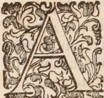 An illustration from De animalibus insectis libri septem : cum singulorum iconibus ad viuum expressis / autore Ulysse Aldrovando ... ; ad sereniss: Franc. Mariam Secundum ..., 1602, leaf 105