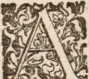 An illustration from De animalibus insectis libri septem : cum singulorum iconibus ad viuum expressis / autore Ulysse Aldrovando ... ; ad sereniss: Franc. Mariam Secundum ..., 1602, leaf 105