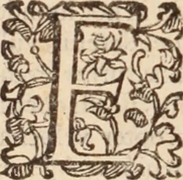 An illustration from De animalibus insectis libri septem : cum singulorum iconibus ad viuum expressis / autore Ulysse Aldrovando ... ; ad sereniss: Franc. Mariam Secundum ..., 1602, leaf 119