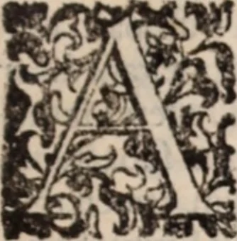 An illustration from De animalibus insectis libri septem : cum singulorum iconibus ad viuum expressis / autore Ulysse Aldrovando ... ; ad sereniss: Franc. Mariam Secundum ..., 1602, leaf 126