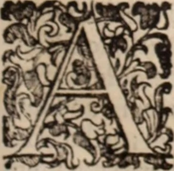 An illustration from De animalibus insectis libri septem : cum singulorum iconibus ad viuum expressis / autore Ulysse Aldrovando ... ; ad sereniss: Franc. Mariam Secundum ..., 1602, leaf 126