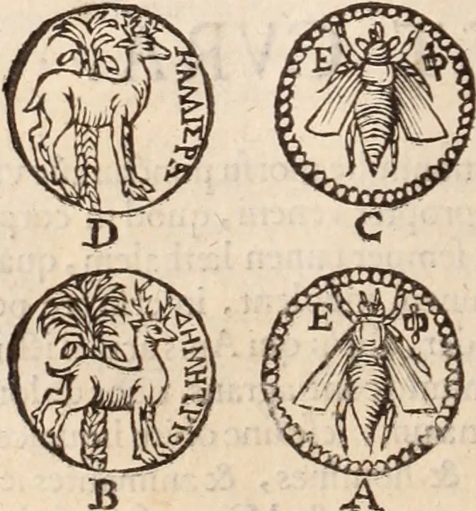 An illustration from De animalibus insectis libri septem : cum singulorum iconibus ad viuum expressis / autore Ulysse Aldrovando ... ; ad sereniss: Franc. Mariam Secundum ..., 1602, leaf 127