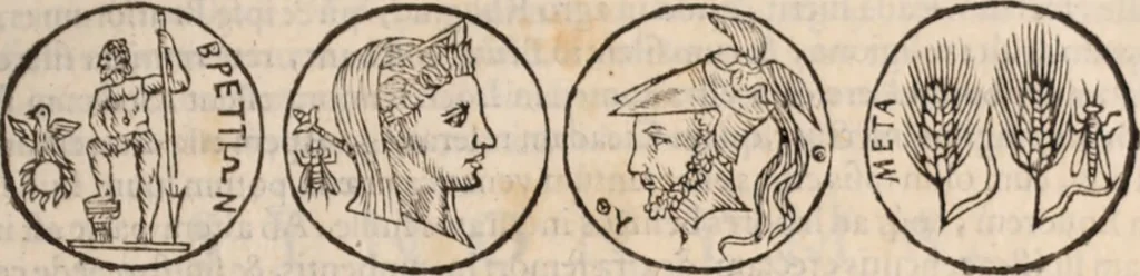 An illustration from De animalibus insectis libri septem : cum singulorum iconibus ad viuum expressis / autore Ulysse Aldrovando ... ; ad sereniss: Franc. Mariam Secundum ..., 1602, leaf 128