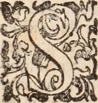 An illustration from De animalibus insectis libri septem : cum singulorum iconibus ad viuum expressis / autore Ulysse Aldrovando ... ; ad sereniss: Franc. Mariam Secundum ..., 1602, leaf 129