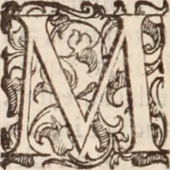 An illustration from De animalibus insectis libri septem : cum singulorum iconibus ad viuum expressis / autore Ulysse Aldrovando ... ; ad sereniss: Franc. Mariam Secundum ..., 1602, leaf 141