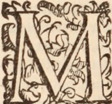 An illustration from De animalibus insectis libri septem : cum singulorum iconibus ad viuum expressis / autore Ulysse Aldrovando ... ; ad sereniss: Franc. Mariam Secundum ..., 1602, leaf 163