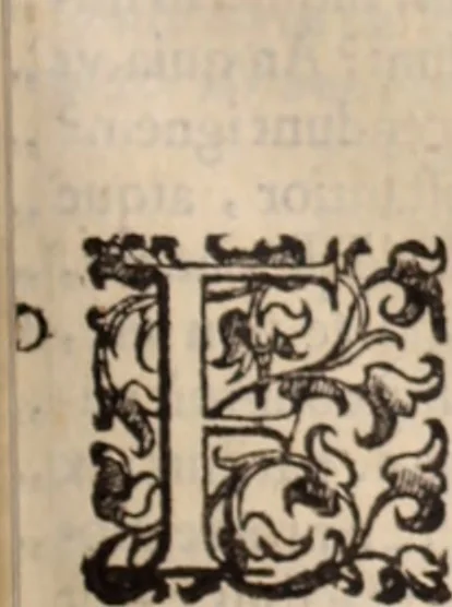An illustration from De animalibus insectis libri septem : cum singulorum iconibus ad viuum expressis / autore Ulysse Aldrovando ... ; ad sereniss: Franc. Mariam Secundum ..., 1602, leaf 196