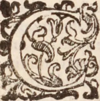 An illustration from De animalibus insectis libri septem : cum singulorum iconibus ad viuum expressis / autore Ulysse Aldrovando ... ; ad sereniss: Franc. Mariam Secundum ..., 1602, leaf 205