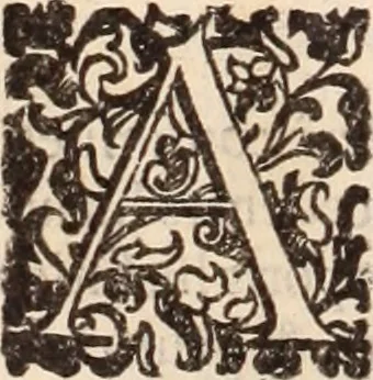 An illustration from De animalibus insectis libri septem : cum singulorum iconibus ad viuum expressis / autore Ulysse Aldrovando ... ; ad sereniss: Franc. Mariam Secundum ..., 1602, leaf 207