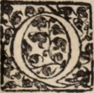 An illustration from De animalibus insectis libri septem : cum singulorum iconibus ad viuum expressis / autore Ulysse Aldrovando ... ; ad sereniss: Franc. Mariam Secundum ..., 1602, leaf 208