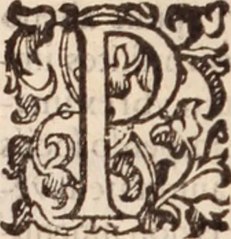 An illustration from De animalibus insectis libri septem : cum singulorum iconibus ad viuum expressis / autore Ulysse Aldrovando ... ; ad sereniss: Franc. Mariam Secundum ..., 1602, leaf 213