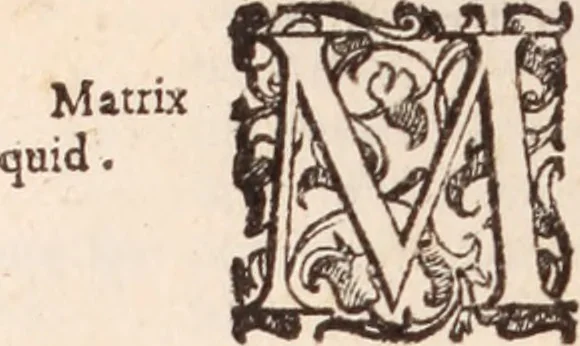 An illustration from De animalibus insectis libri septem : cum singulorum iconibus ad viuum expressis / autore Ulysse Aldrovando ... ; ad sereniss: Franc. Mariam Secundum ..., 1602, leaf 219