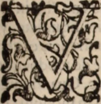 An illustration from De animalibus insectis libri septem : cum singulorum iconibus ad viuum expressis / autore Ulysse Aldrovando ... ; ad sereniss: Franc. Mariam Secundum ..., 1602, leaf 230