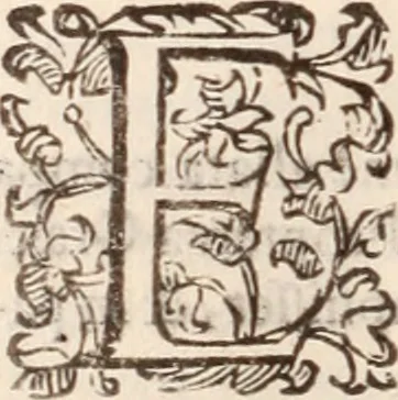 An illustration from De animalibus insectis libri septem : cum singulorum iconibus ad viuum expressis / autore Ulysse Aldrovando ... ; ad sereniss: Franc. Mariam Secundum ..., 1602, leaf 233