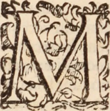 An illustration from De animalibus insectis libri septem : cum singulorum iconibus ad viuum expressis / autore Ulysse Aldrovando ... ; ad sereniss: Franc. Mariam Secundum ..., 1602, leaf 241