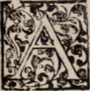 An illustration from De animalibus insectis libri septem : cum singulorum iconibus ad viuum expressis / autore Ulysse Aldrovando ... ; ad sereniss: Franc. Mariam Secundum ..., 1602, leaf 248