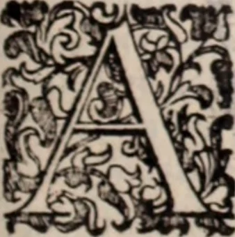 An illustration from De animalibus insectis libri septem : cum singulorum iconibus ad viuum expressis / autore Ulysse Aldrovando ... ; ad sereniss: Franc. Mariam Secundum ..., 1602, leaf 248