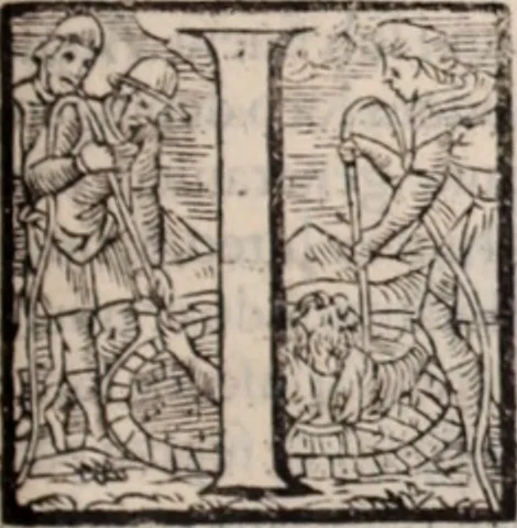 An illustration from De animalibus insectis libri septem : cum singulorum iconibus ad viuum expressis / autore Ulysse Aldrovando ... ; ad sereniss: Franc. Mariam Secundum ..., 1602, leaf 250