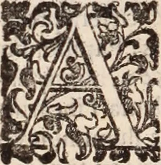 An illustration from De animalibus insectis libri septem : cum singulorum iconibus ad viuum expressis / autore Ulysse Aldrovando ... ; ad sereniss: Franc. Mariam Secundum ..., 1602, leaf 273