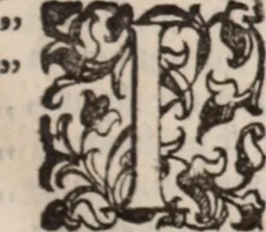 An illustration from De animalibus insectis libri septem : cum singulorum iconibus ad viuum expressis / autore Ulysse Aldrovando ... ; ad sereniss: Franc. Mariam Secundum ..., 1602, leaf 28