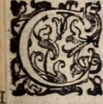 An illustration from De animalibus insectis libri septem : cum singulorum iconibus ad viuum expressis / autore Ulysse Aldrovando ... ; ad sereniss: Franc. Mariam Secundum ..., 1602, leaf 292