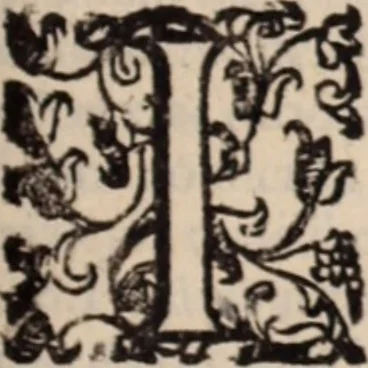 An illustration from De animalibus insectis libri septem : cum singulorum iconibus ad viuum expressis / autore Ulysse Aldrovando ... ; ad sereniss: Franc. Mariam Secundum ..., 1602, leaf 302