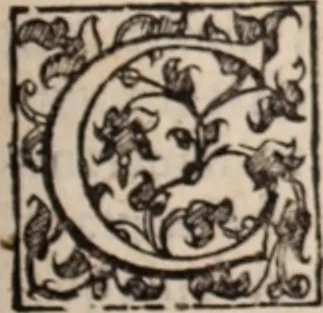An illustration from De animalibus insectis libri septem : cum singulorum iconibus ad viuum expressis / autore Ulysse Aldrovando ... ; ad sereniss: Franc. Mariam Secundum ..., 1602, leaf 314