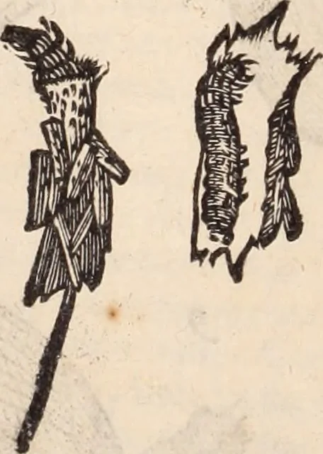 An illustration from De animalibus insectis libri septem : cum singulorum iconibus ad viuum expressis / autore Ulysse Aldrovando ... ; ad sereniss: Franc. Mariam Secundum ..., 1602, leaf 321