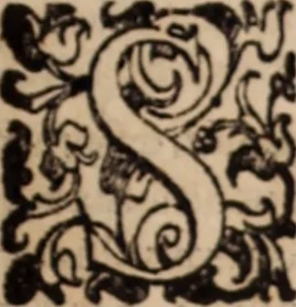 An illustration from De animalibus insectis libri septem : cum singulorum iconibus ad viuum expressis / autore Ulysse Aldrovando ... ; ad sereniss: Franc. Mariam Secundum ..., 1602, leaf 336