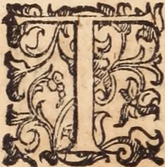 An illustration from De animalibus insectis libri septem : cum singulorum iconibus ad viuum expressis / autore Ulysse Aldrovando ... ; ad sereniss: Franc. Mariam Secundum ..., 1602, leaf 345
