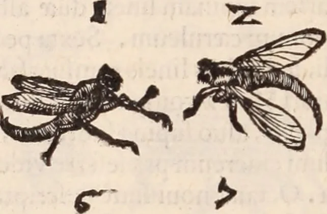 An illustration from De animalibus insectis libri septem : cum singulorum iconibus ad viuum expressis / autore Ulysse Aldrovando ... ; ad sereniss: Franc. Mariam Secundum ..., 1602, leaf 363