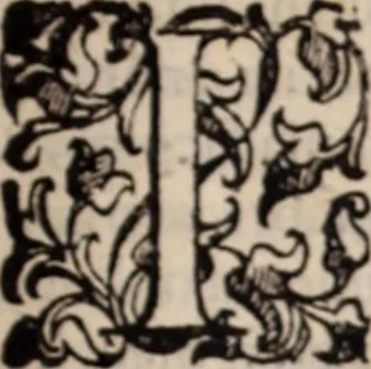 An illustration from De animalibus insectis libri septem : cum singulorum iconibus ad viuum expressis / autore Ulysse Aldrovando ... ; ad sereniss: Franc. Mariam Secundum ..., 1602, leaf 376