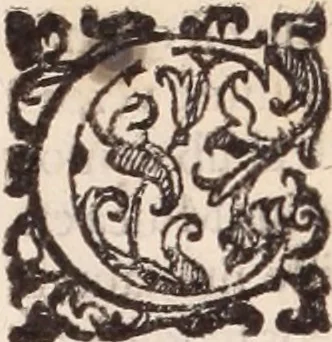 An illustration from De animalibus insectis libri septem : cum singulorum iconibus ad viuum expressis / autore Ulysse Aldrovando ... ; ad sereniss: Franc. Mariam Secundum ..., 1602, leaf 381