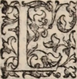 An illustration from De animalibus insectis libri septem : cum singulorum iconibus ad viuum expressis / autore Ulysse Aldrovando ... ; ad sereniss: Franc. Mariam Secundum ..., 1602, leaf 412