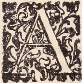 An illustration from De animalibus insectis libri septem : cum singulorum iconibus ad viuum expressis / autore Ulysse Aldrovando ... ; ad sereniss: Franc. Mariam Secundum ..., 1602, leaf 413